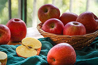 《华彩煌煌，吾之一族 幻灯时代》预定于5月20日发售！